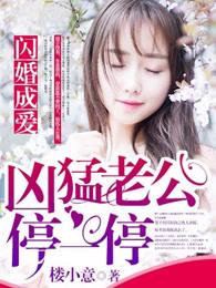 闪婚成爱凶猛老公停一停 闪婚成爱凶猛老公停一停