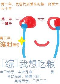 兰花又已开a