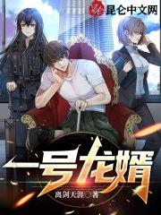 一号女婿 一号女婿