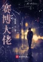 赛博是什么概念