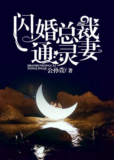 闪婚总裁疼妻入骨免费全文阅读