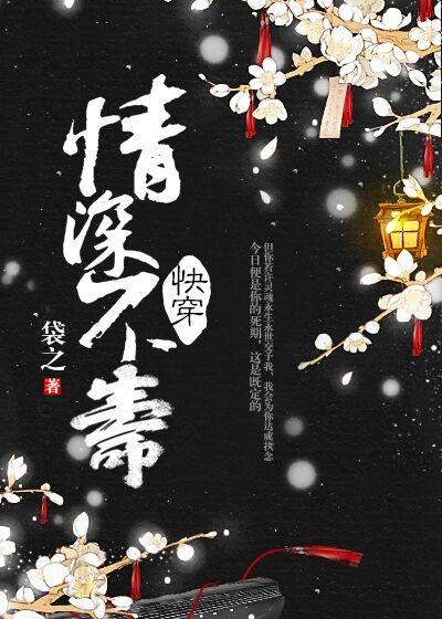 情深不寿txt
