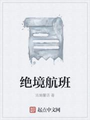 绝命航班? 绝命航班?