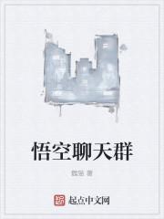 悟空辅助交流群 悟空辅助交流群