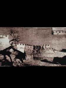 电视剧浴血猎杀演员表 电视剧浴血猎杀演员表