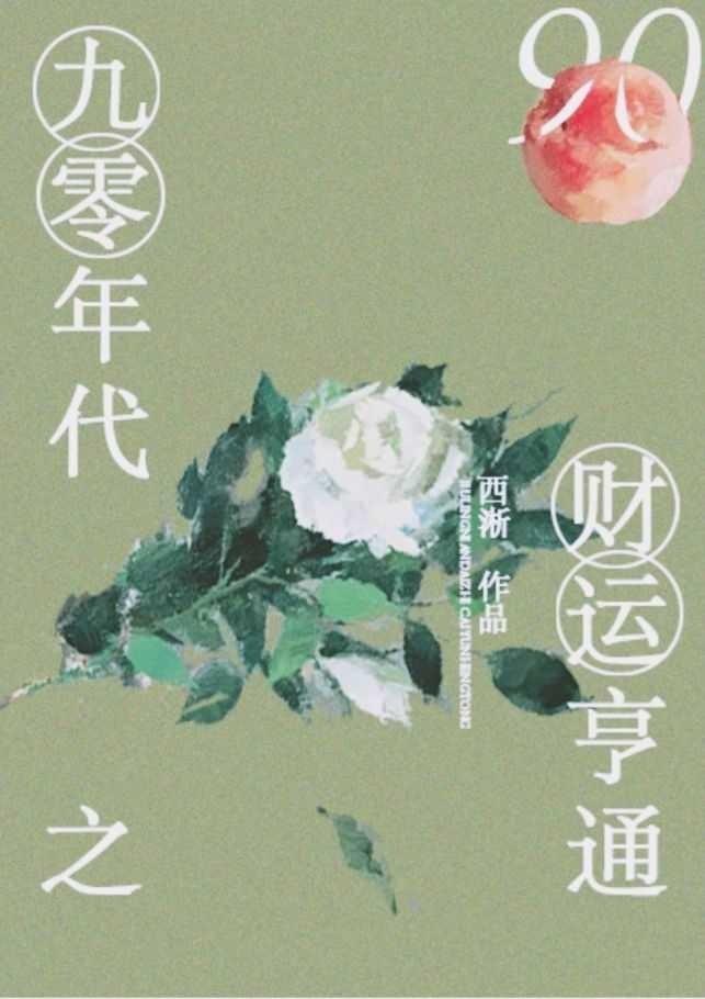 九零年代之财运亨通完整版 九零年代之财运亨通完整版