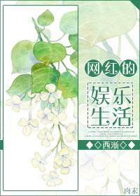 网红的直播生涯 网红的直播生涯