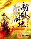 新风领地这书怎么样