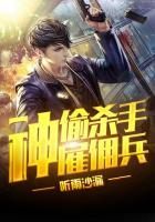 神偷雇佣兵免费 神偷雇佣兵免费