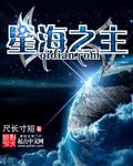 星海之主等级 星海之主等级