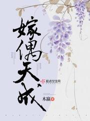 嫁偶天成乐文