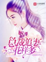 总裁追妻,花样多! 总裁追妻,花样多!