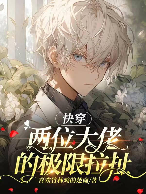 快穿:两位大佬的极限拉扯 快穿:两位大佬的极限拉扯