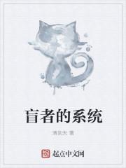 盲者的系统 盲者的系统