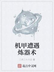 机甲遭遇炼器术 机甲遭遇炼器术