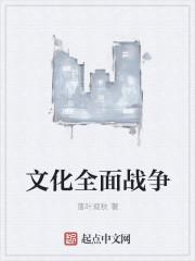 文化全面战争 文化全面战争