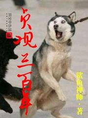 倾风动画